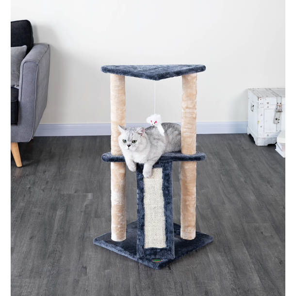 Go Pet Club Soft Sided Indoor/Outdoor Pet Crate & Reviews Wayfair